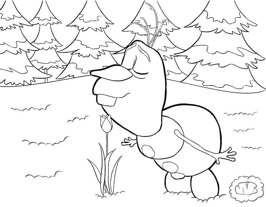 Coloring Olaf. Category Disney cartoons. Tags:  Anna , Elsa, Olaf.
