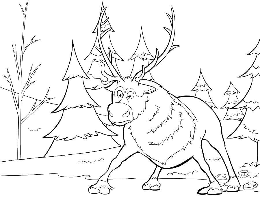 Coloring Deer on ice. Category cartoons. Tags:  the deer.
