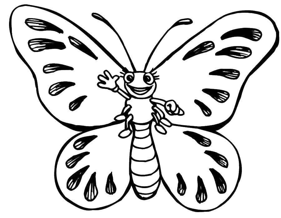 Название: Раскраска Приветливая бабочка. Категория: Раскраски для малышей. Теги: Бабочка.