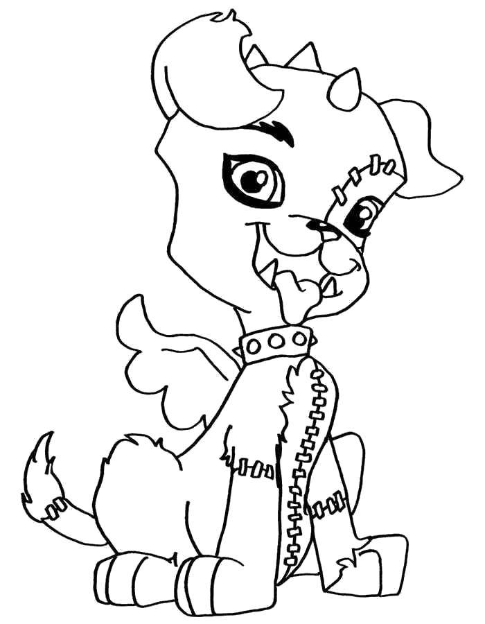 Coloring Dog of monster high. Category Monster High. Tags:  Monster High.