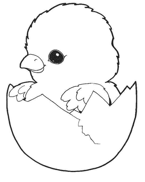 Coloring Chick in the shell. Category The contours for cutting out the birds. Tags:  chicken.