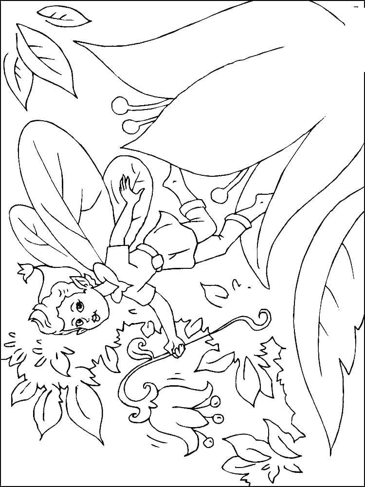 Coloring Fairy. Category fairies. Tags:  fairy.