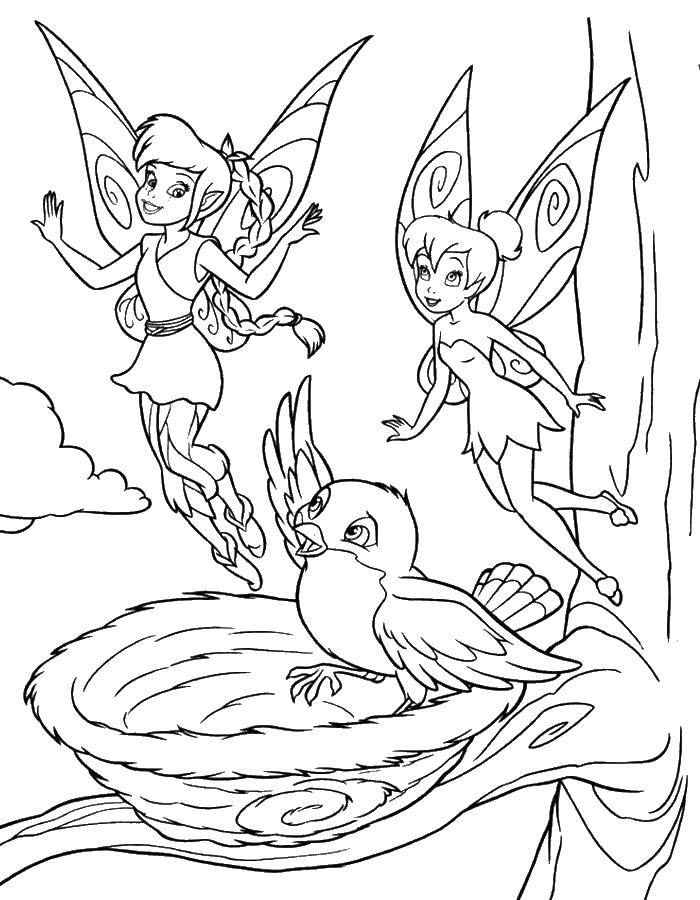 Coloring Fauna and digging. Category fairies. Tags:  fairies Dingding.