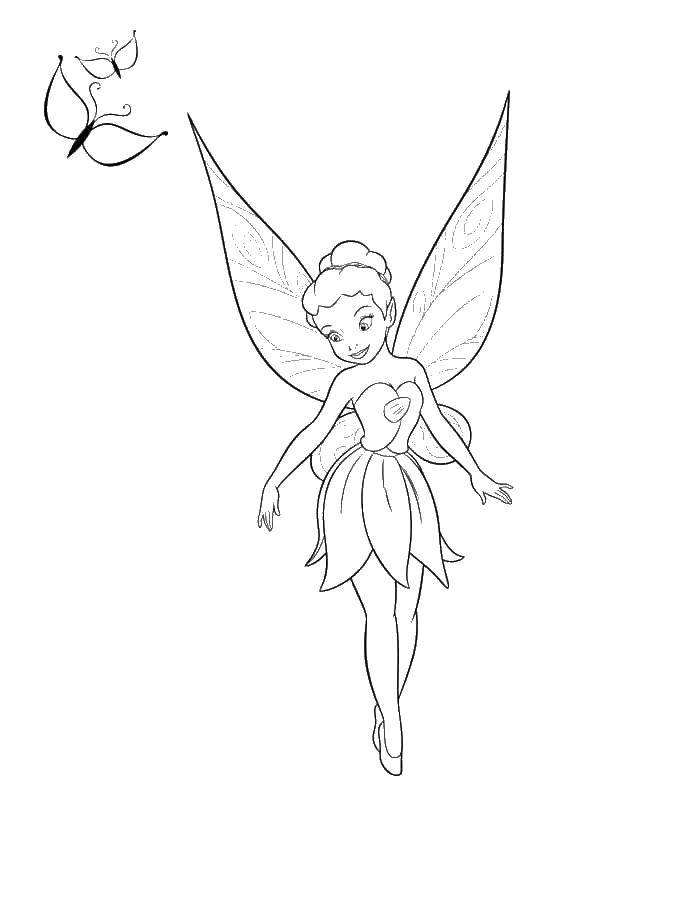 Coloring Iridessa. Category fairies. Tags:  Iridessa. fairy.