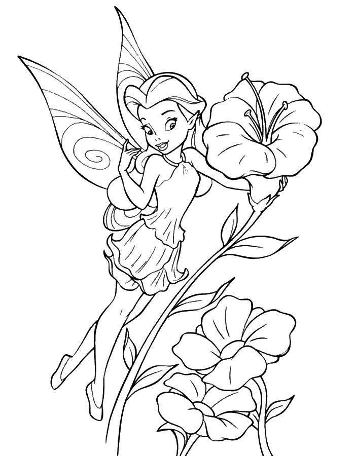Coloring The rosette flowers. Category fairies. Tags:  fairy, Dindin.