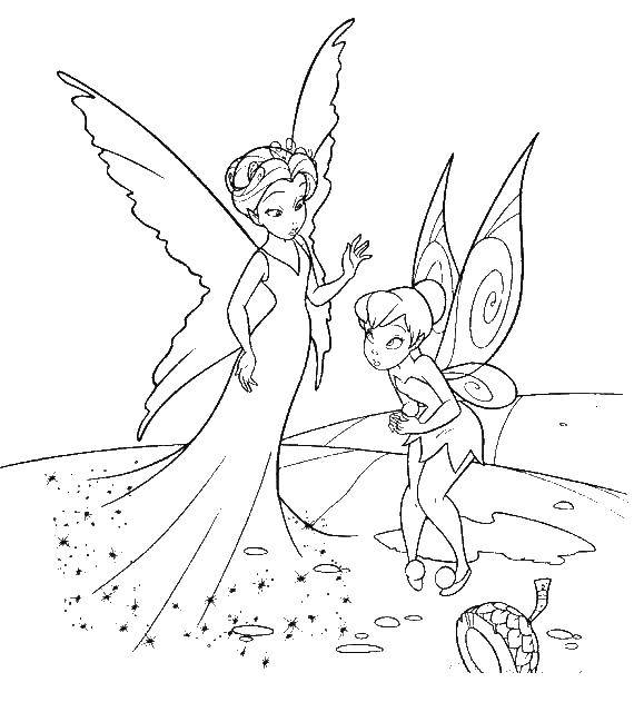 Coloring Tinker bell and Queen of the fairies. Category fairies. Tags:  fairy, Tinker bell.