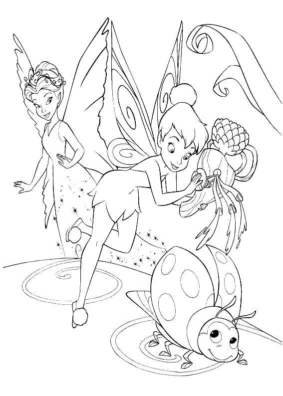 Coloring Tinker bell and Queen of the fairies. Category fairies. Tags:  fairy, dingding.