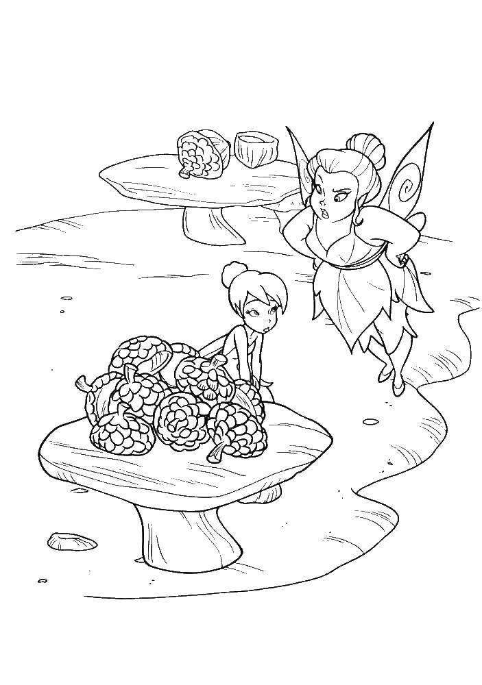 Coloring Tinker bell and the nuts. Category fairies. Tags:  fairy, Dindin.