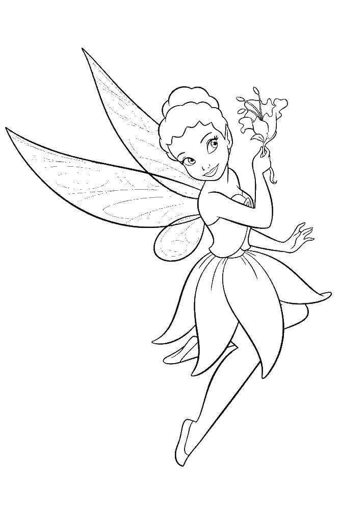 Coloring Fairy iridessa. Category fairies. Tags:  fairy, Iridessa.