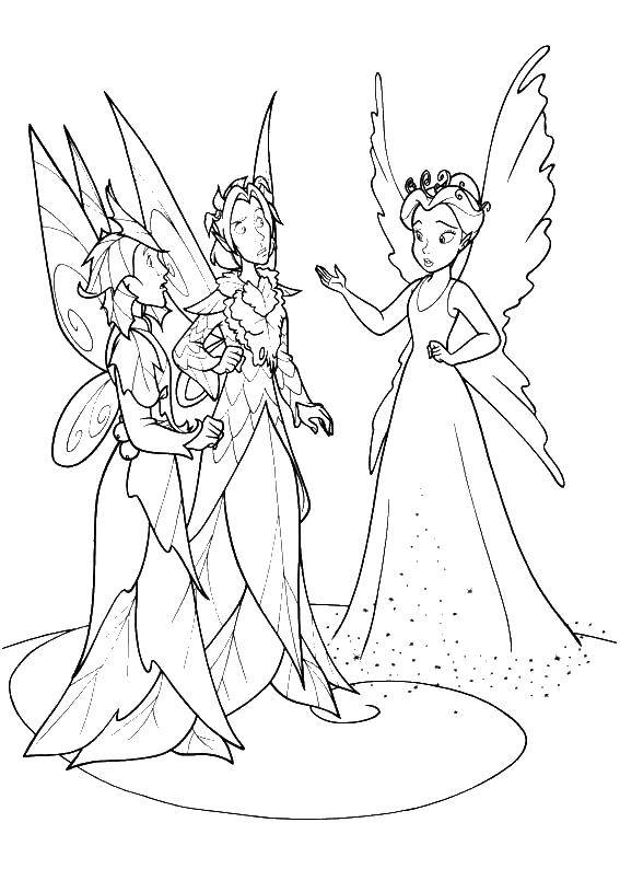 Coloring The Queen of the fairies. Category fairies. Tags:  The Fairy Queen.