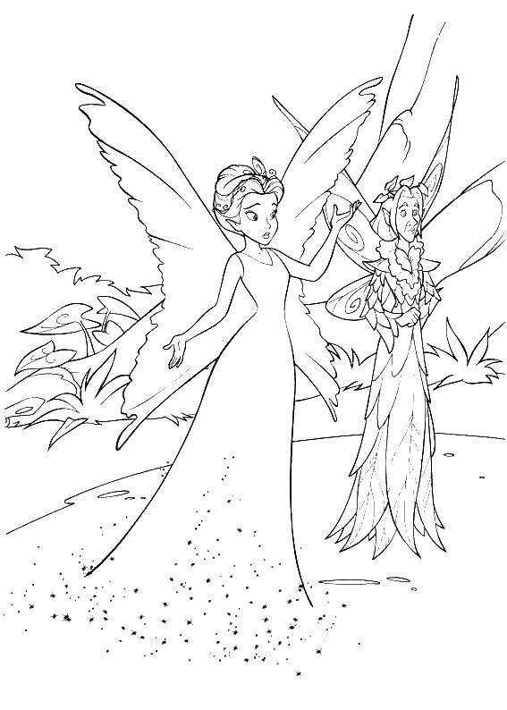 Coloring The Queen of the fairies. Category fairies. Tags:  fairies.