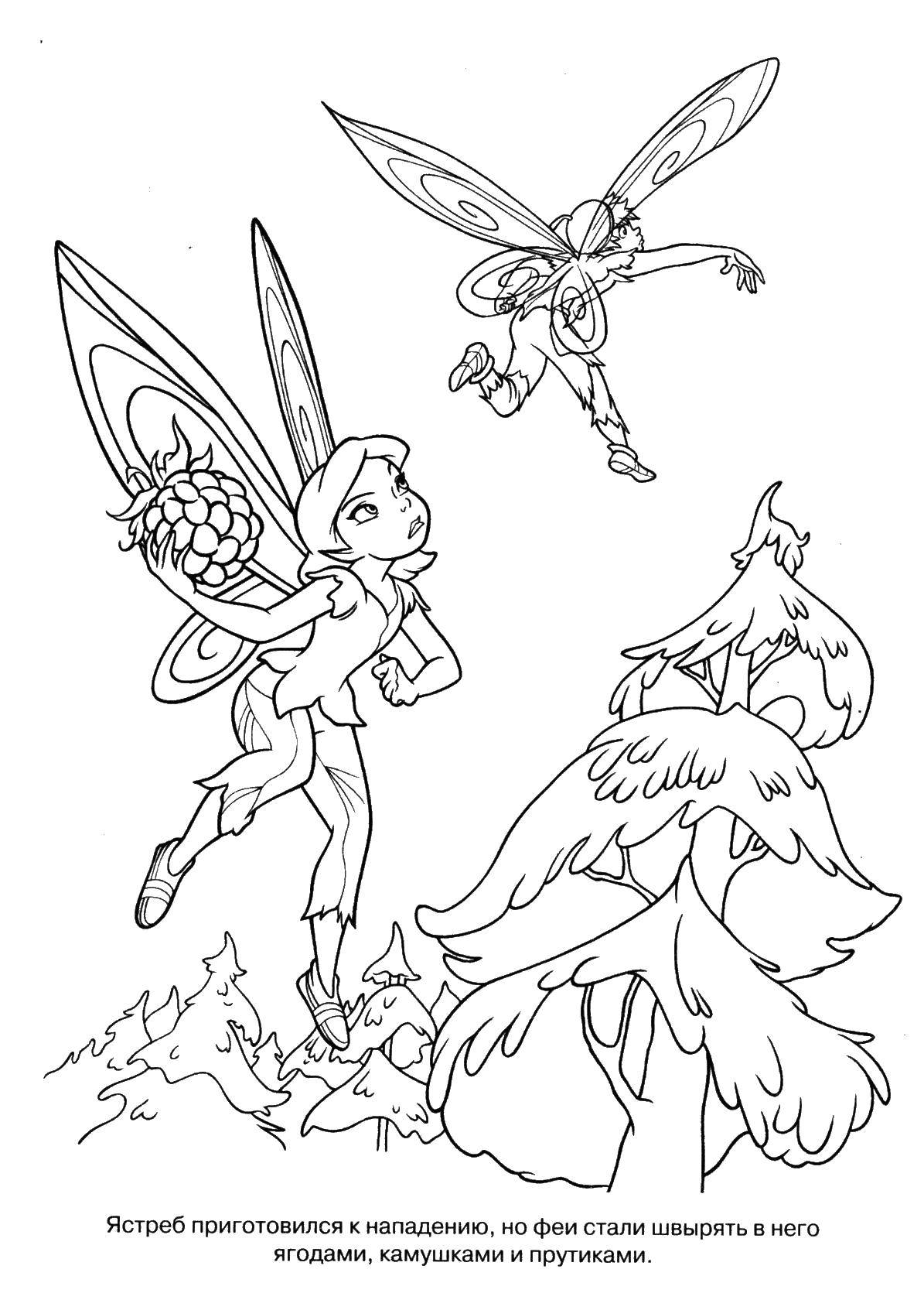 Coloring Fairies are protected from the hawk. Category fairies. Tags:  fairies Dingding.