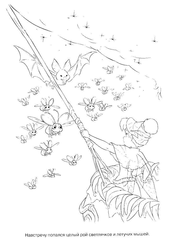 Coloring Tinker bell and the bats. Category fairies. Tags:  fairy, Dindin.