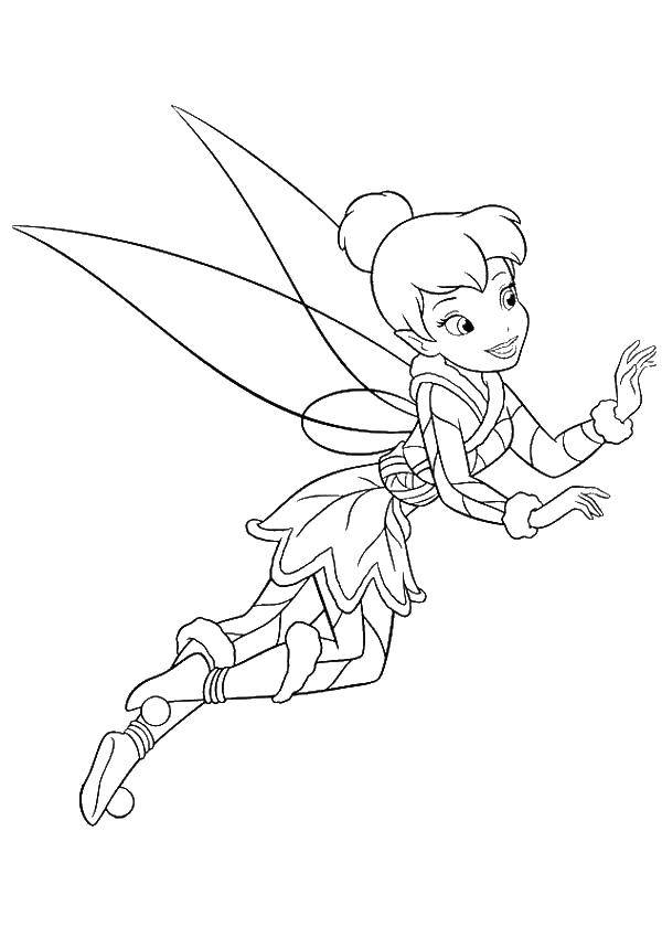 Coloring Fairy Dinh Dinh. Category fairies. Tags:  fairy, Tinker bell.