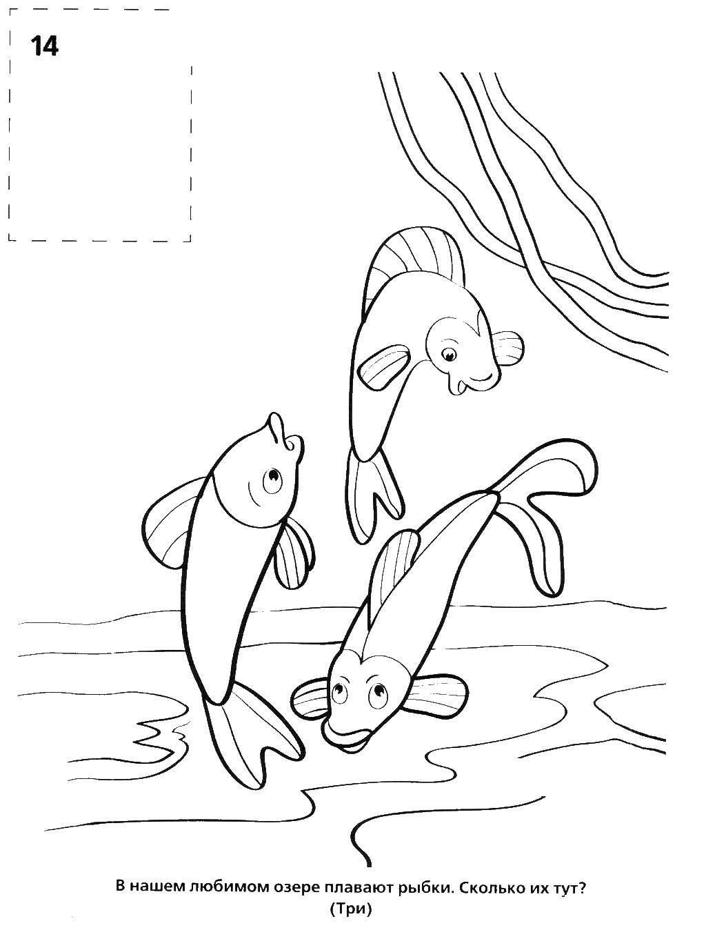 Coloring Fish. Category fish. Tags:  fish.