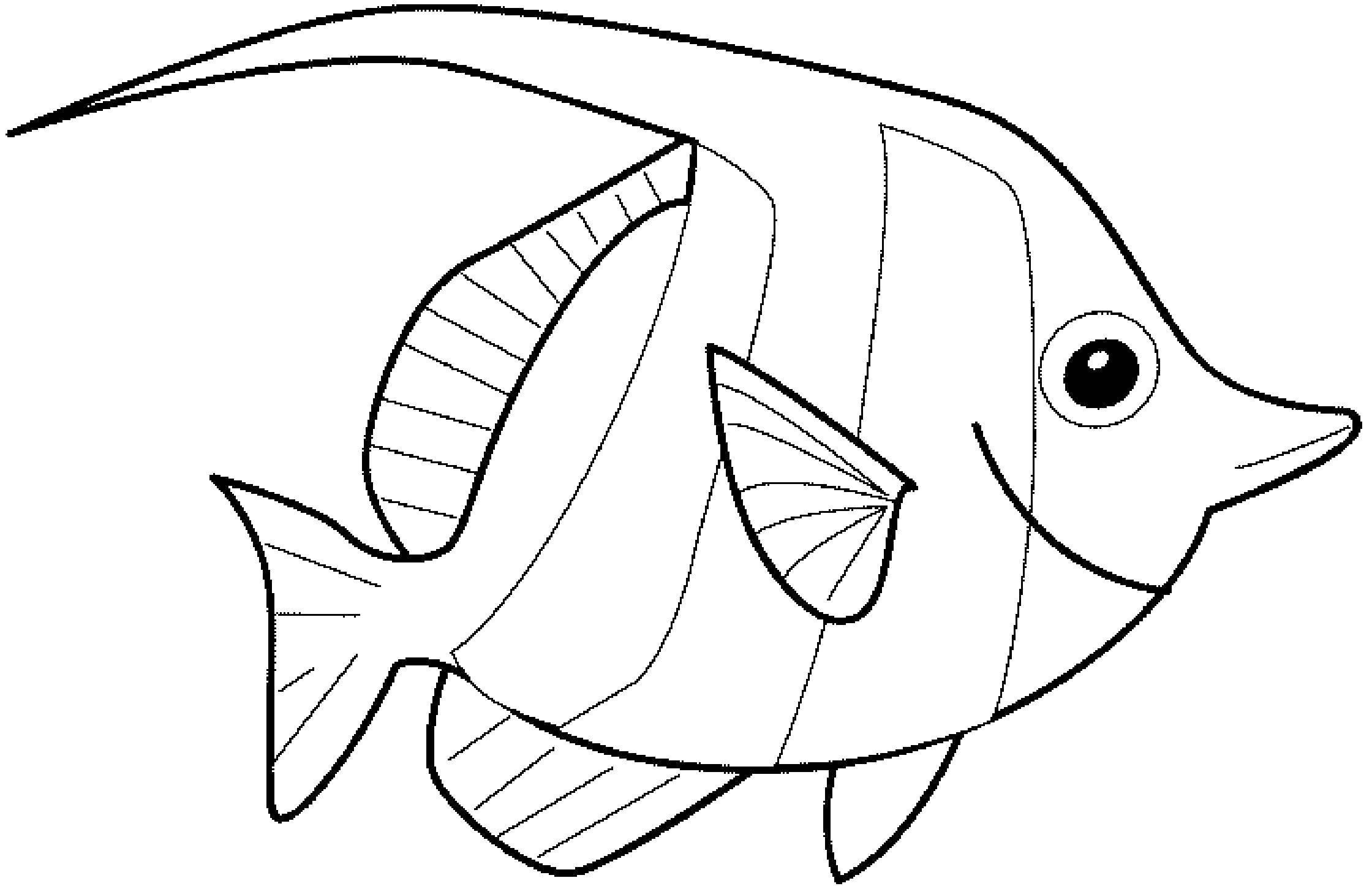Coloring Royal angel fish. Category fish. Tags:  fish.