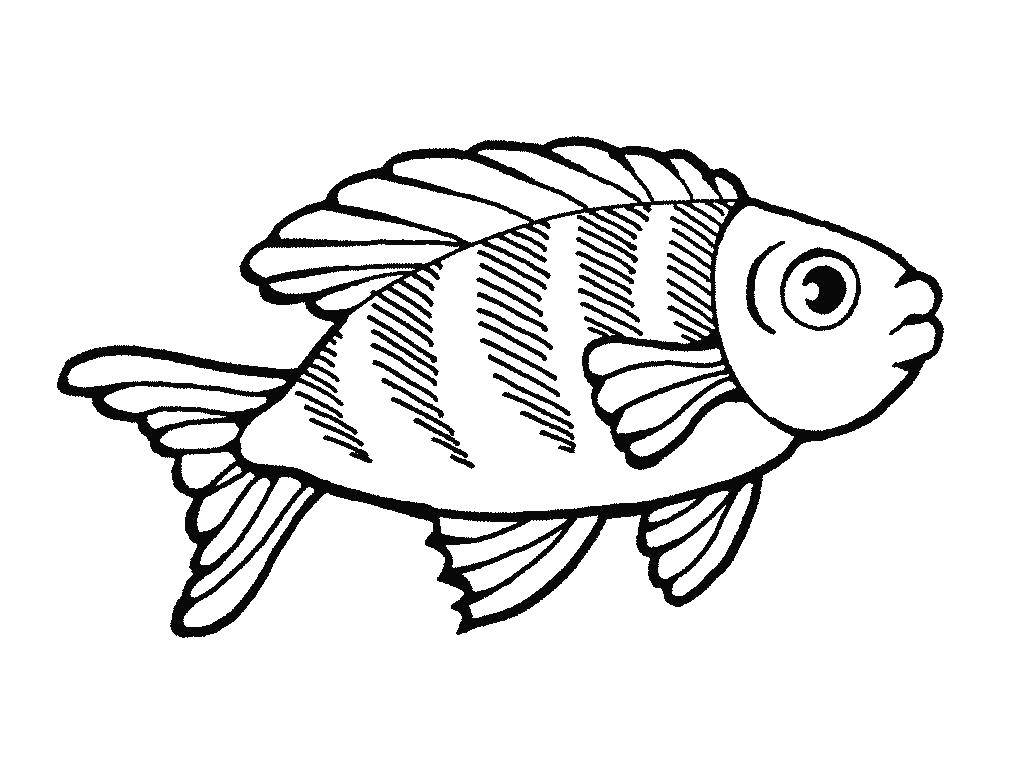 Название: Раскраска Морская рыба. Категория: рыбы. Теги: рыба.