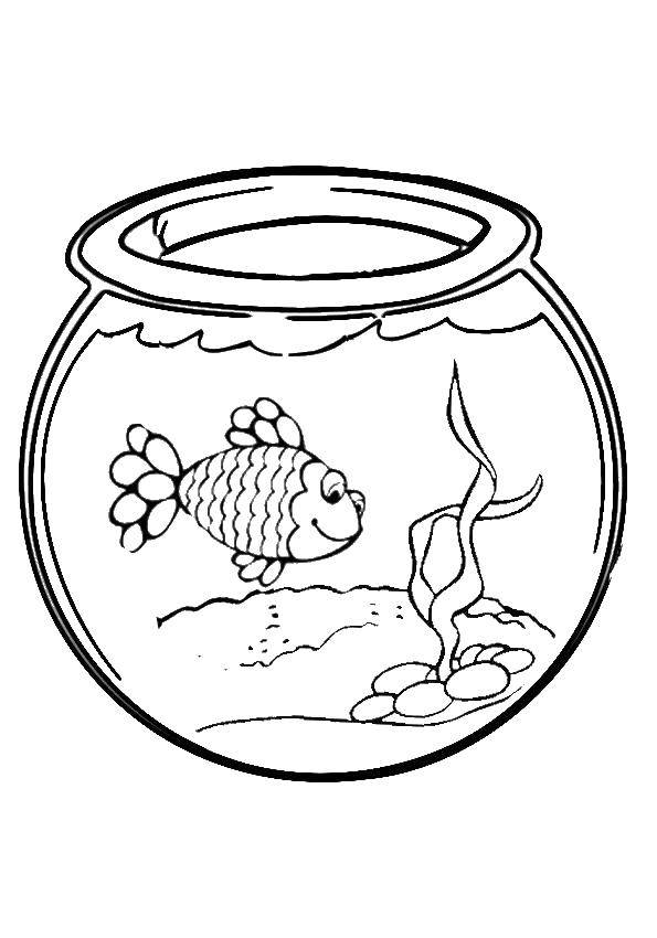 Название: Раскраска Рыбка в аквариуме. Категория: рыбы. Теги: рыбы, аквариум.