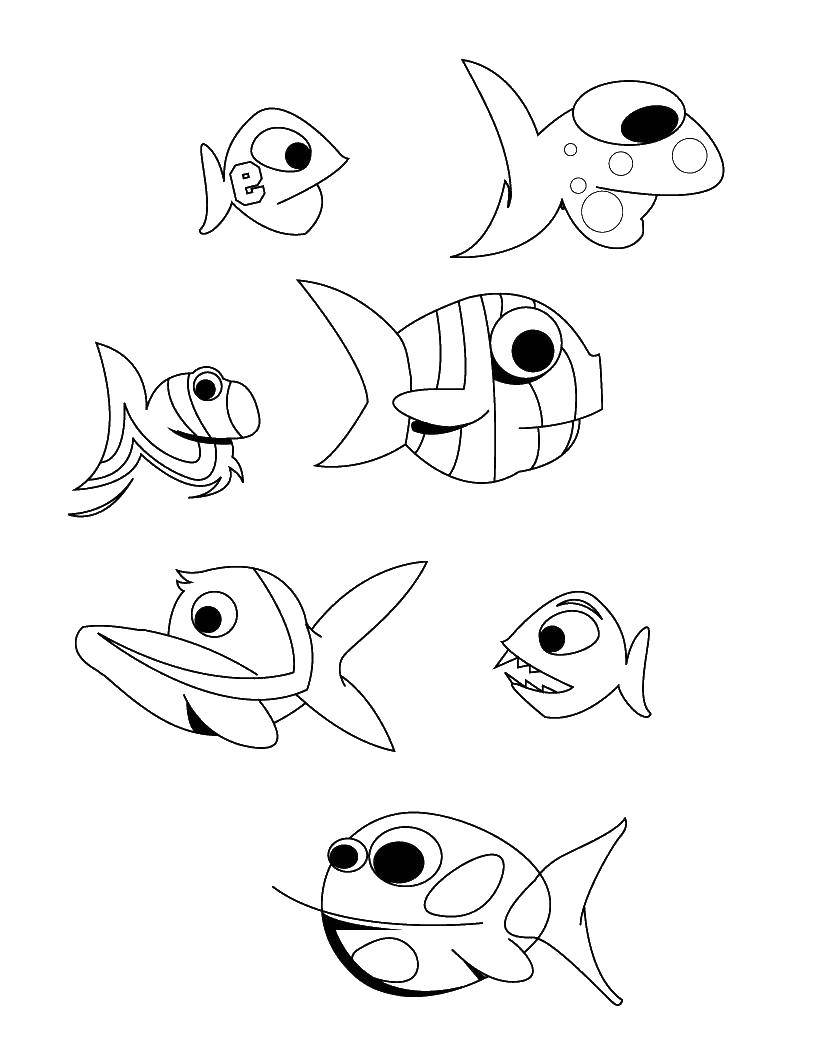 Coloring Fish in the ocean. Category fish. Tags:  fish.