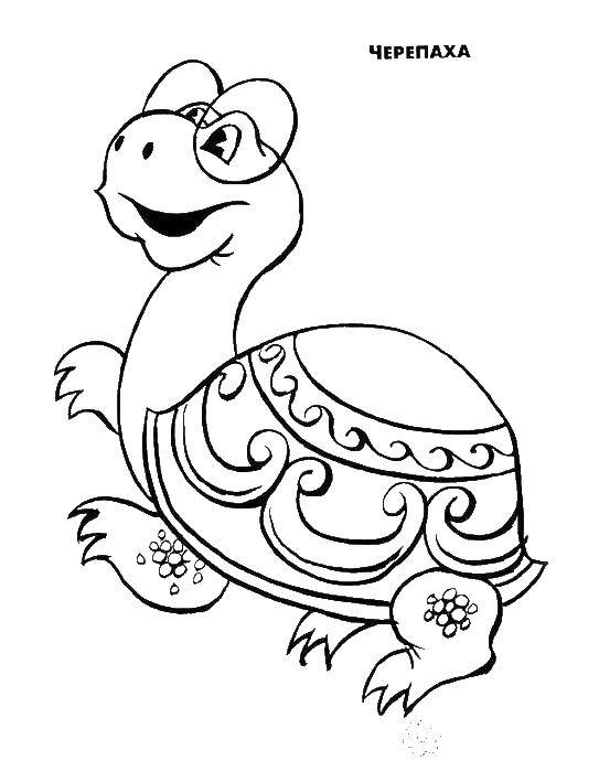 Coloring Big turtle with glasses. Category Animals. Tags:  turtle.