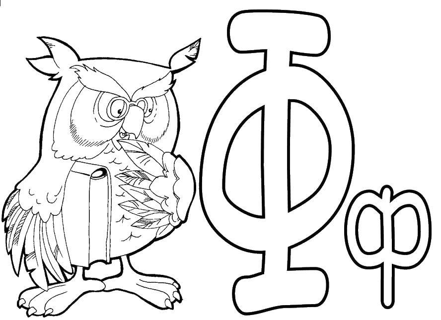 Coloring Owl. Category the alphabet. Tags:  the letter f, owl.