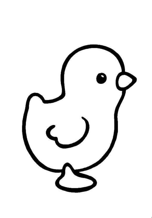 Coloring Chick. Category The contours for cutting out the birds. Tags:  chick.