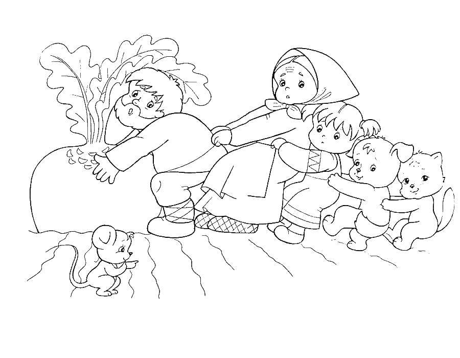 Coloring The tale of the turnip. Category Fairy tales. Tags:  Tales, "The Turnip".
