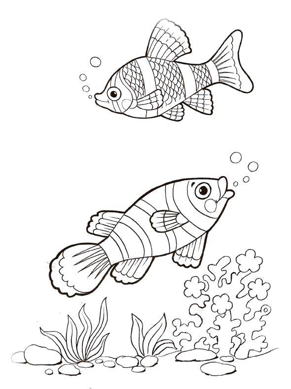 Название: Раскраска Красивые рыбки плавают у водорослей. Категория: золотая рыбка. Теги: Подводный мир, рыба.