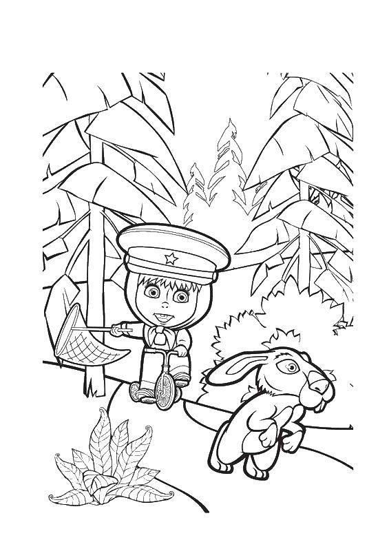 Coloring Mary catches the hare. Category Masha and the bear. Tags:  Masha, Bear.