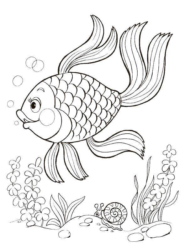 Название: Раскраска Золотая рыбка под водой. Категория: золотая рыбка. Теги: Подводный мир, золотая рыбка.