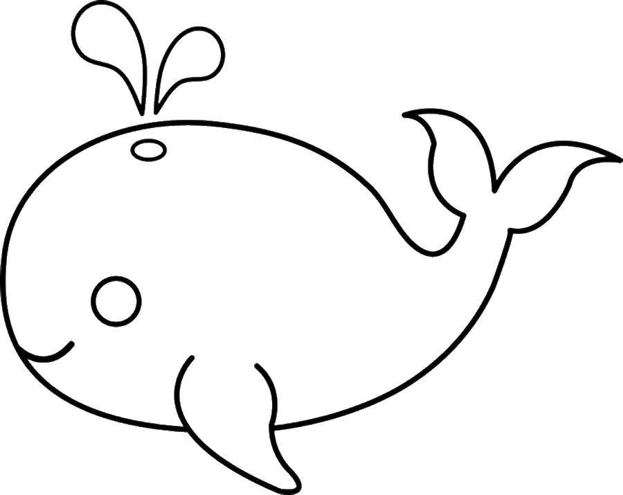 Название: Раскраска Кит. Категория: простые раскраски. Теги: Подводный мир, кит.