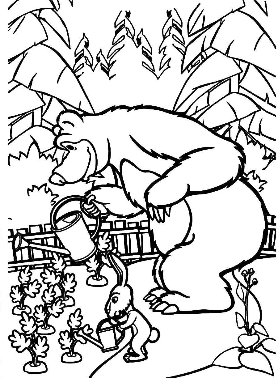Coloring Bear in the garden. Category Masha and the bear. Tags:  Masha, Bear.