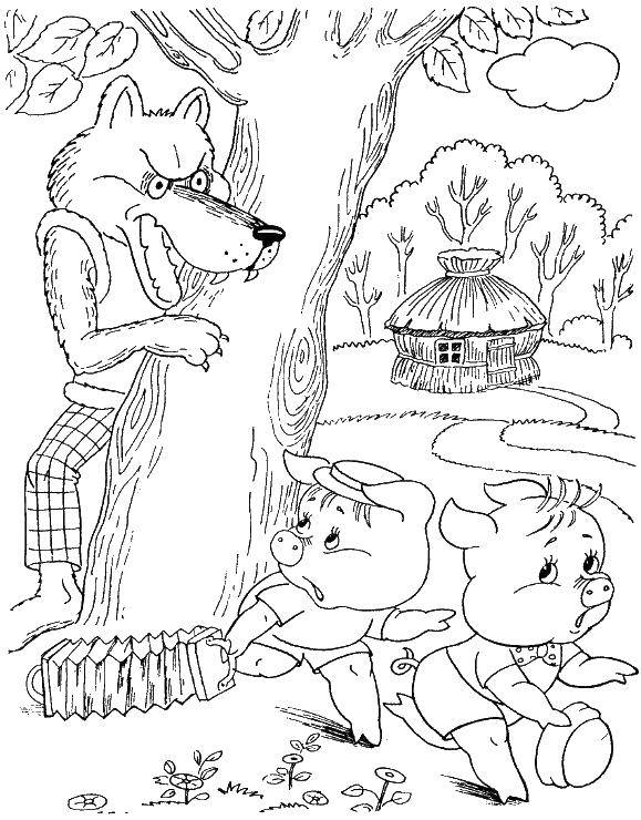 Coloring The wolf chases the pigs. Category baby. Tags:  pig, wolf.