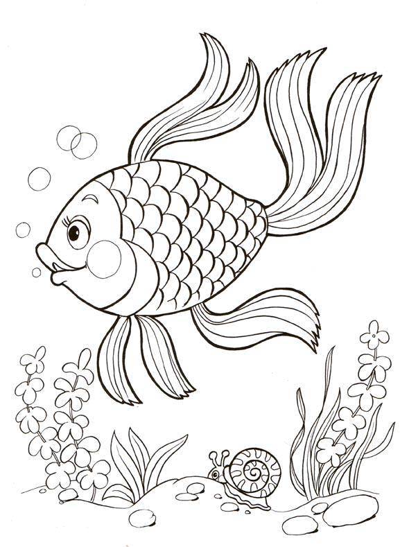 Название: Раскраска Золотая рыбка и рыбак. Категория: золотая рыбка. Теги: золотая рыба, бабка, старик.