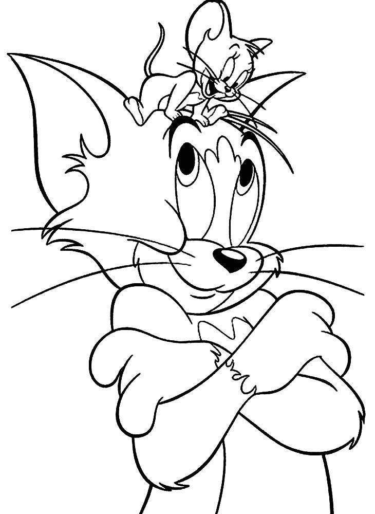 Coloring Tom and Jerry are friends. Category Tom and Jerry. Tags:  Character cartoon, Tom and Jerry.