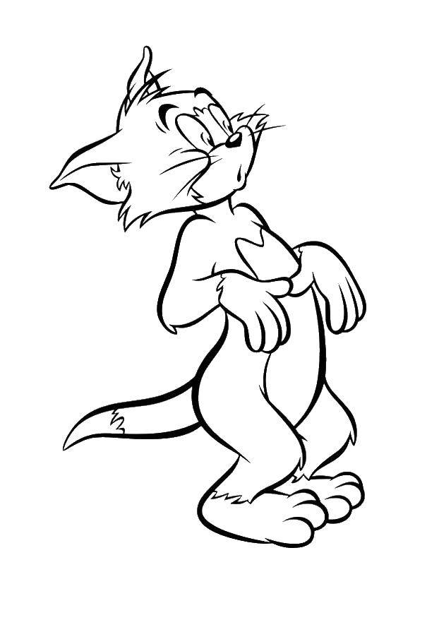Coloring Tom. Category Tom and Jerry. Tags:  Character cartoon, Tom and Jerry.