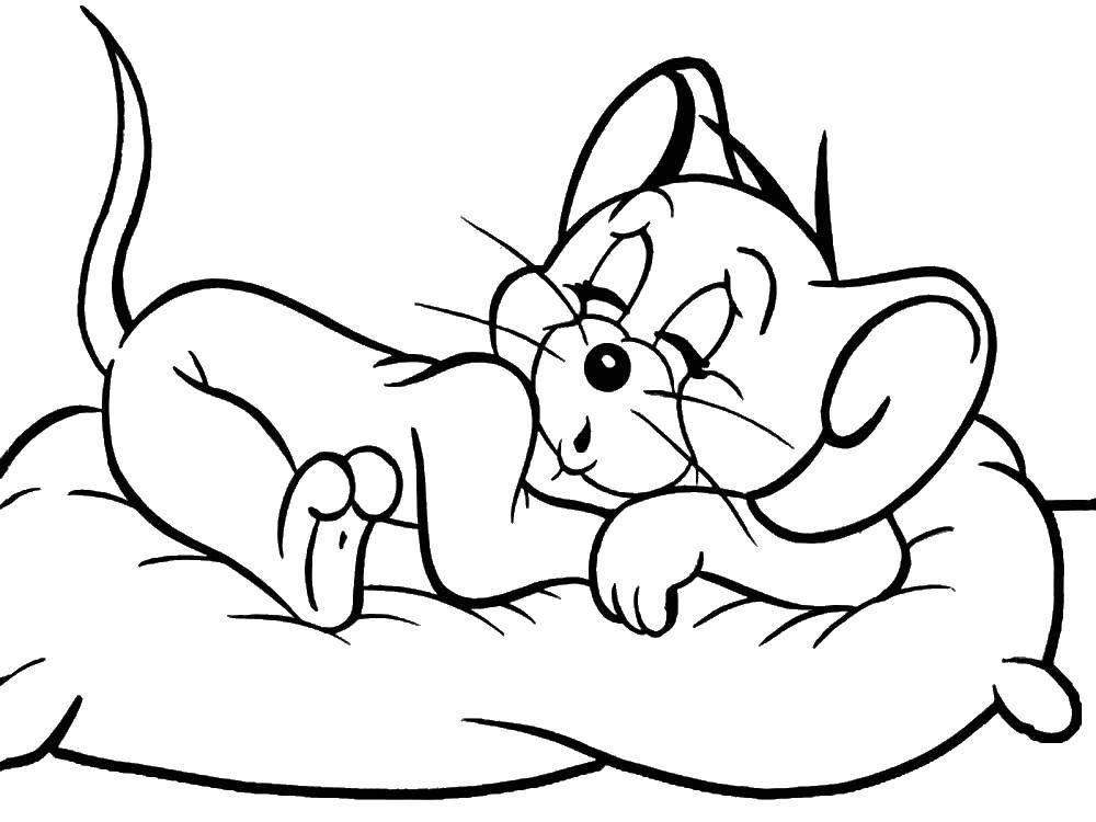 Coloring Jerry is sleeping. Category Tom and Jerry. Tags:  Tom , Jerry.