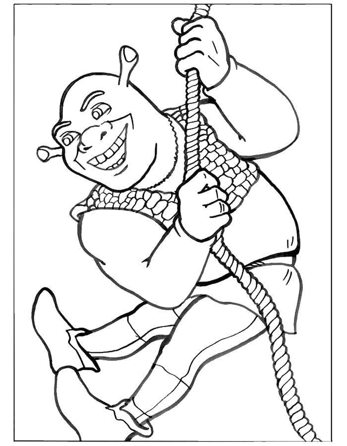 Coloring Shrek on the rope. Category Shrek.. Tags:  Shrek, fairy, Fiona.