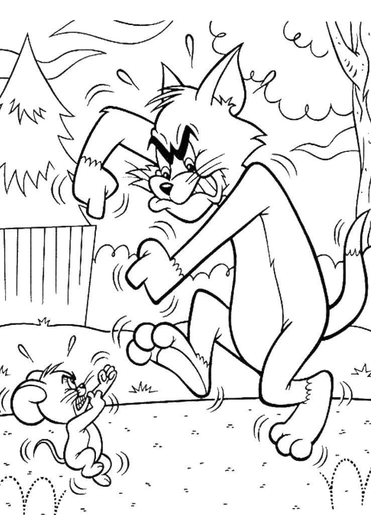 Coloring Tom fighting Jerry. Category Tom and Jerry. Tags:  Character cartoon, Tom and Jerry.