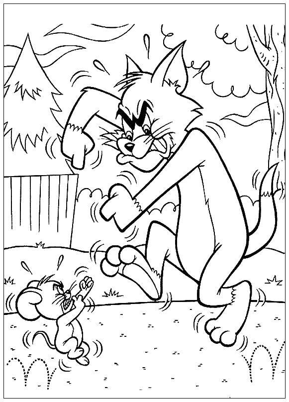 Coloring Tom fighting Jerry. Category Tom and Jerry. Tags:  Tom , Jerry.