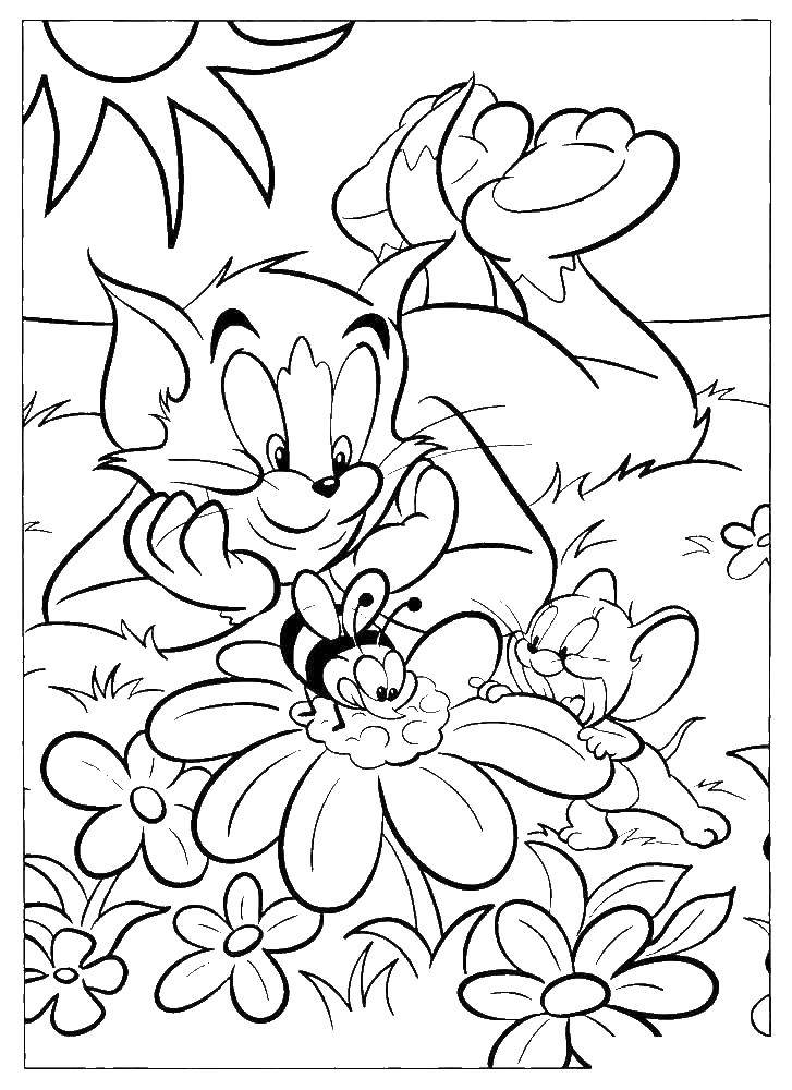Coloring Tom and Jerry watching the bee. Category Tom and Jerry. Tags:  Tom , Jerry.