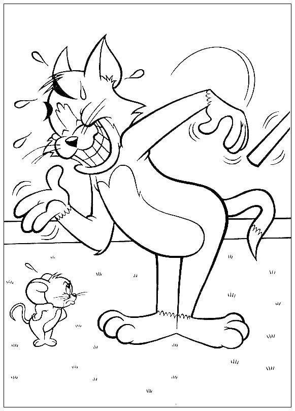 Coloring Tom and Jerry. Category Tom and Jerry. Tags:  Tom , Jerry.