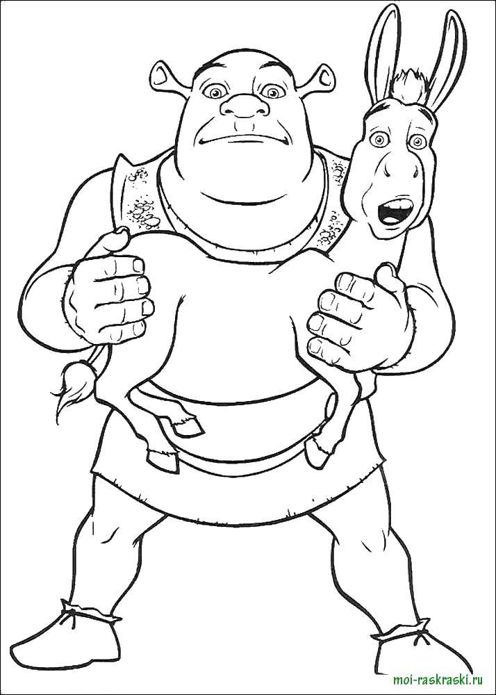 Coloring Shrek and donkey. Category Shrek.. Tags:  Shrek, fairy, Fiona, donkey.