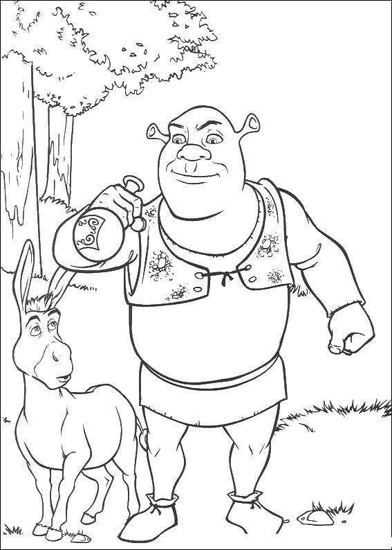 Coloring Shrek drinks a potion. Category Shrek.. Tags:  Shrek, fairy, Fiona, donkey.