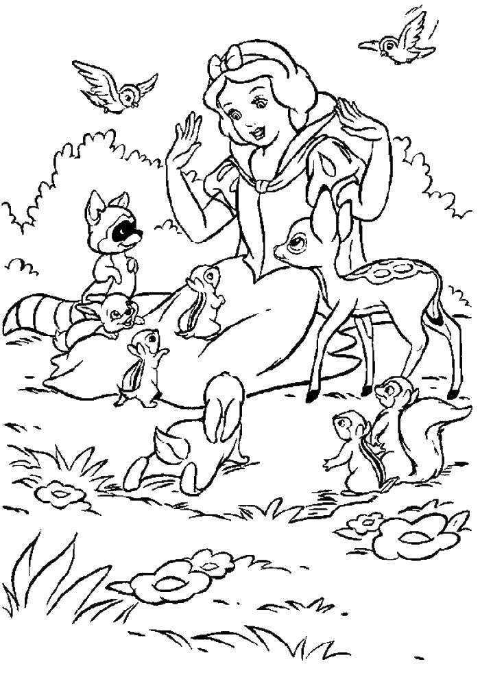 Coloring Snow white with friends animals. Category Disney cartoons. Tags:  Disney, Snow White.