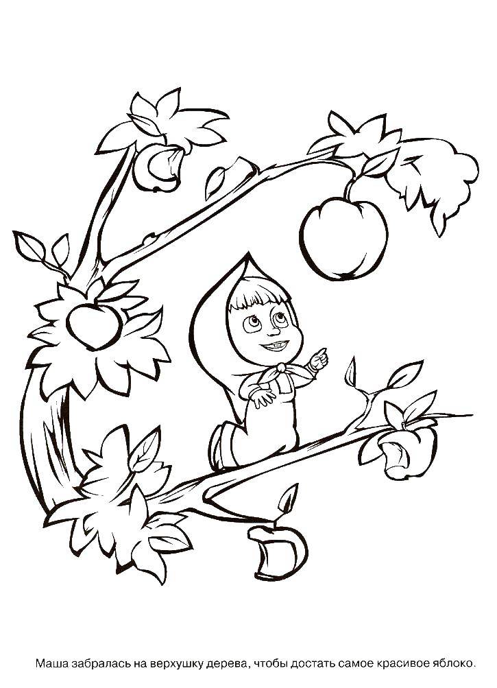 Coloring Masha on a tree with apples. Category Masha and the bear. Tags:  Masha, Bear.