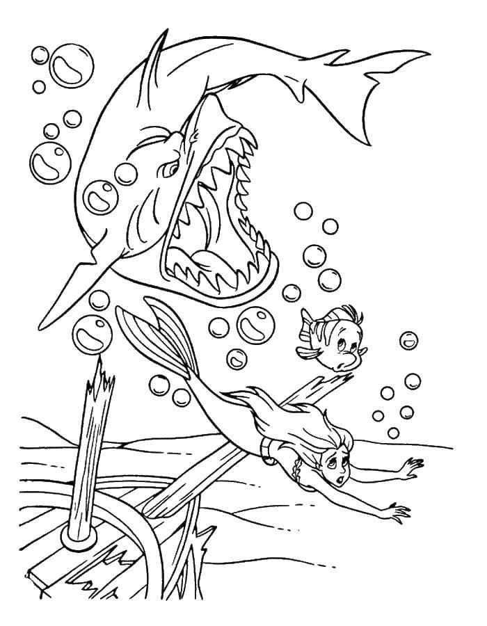 Название: Раскраска Ариэль и рыбка флаундер убегают от акулы. Категория: русалочка ариэль. Теги: Ариэль, русалка.