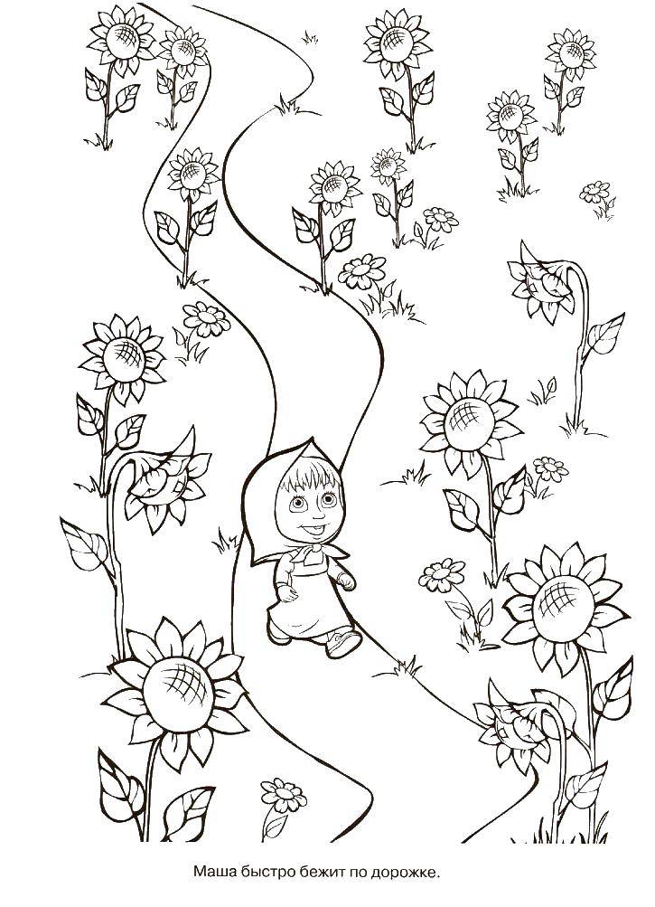 Coloring Masha is on the lawn. Category Masha and the bear. Tags:  Masha, Bear.