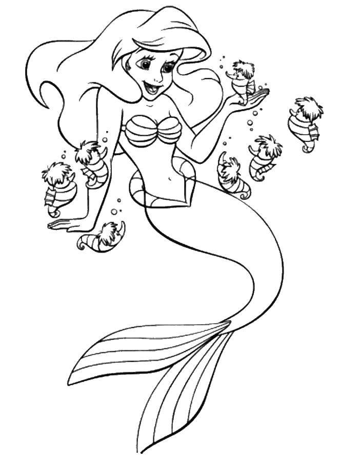 Coloring Mermaid Ariel with skates. Category the little mermaid Ariel. Tags:  Mermaid, Ariel.