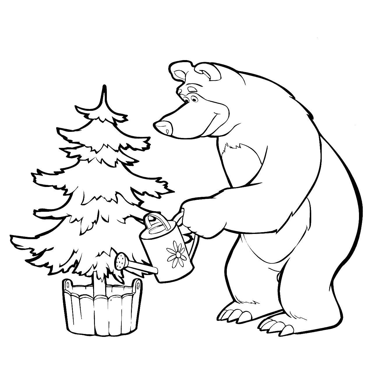 Название: Раскраска Медведь поливает елку. Категория: маша и медведь. Теги: Маша, Медведь.